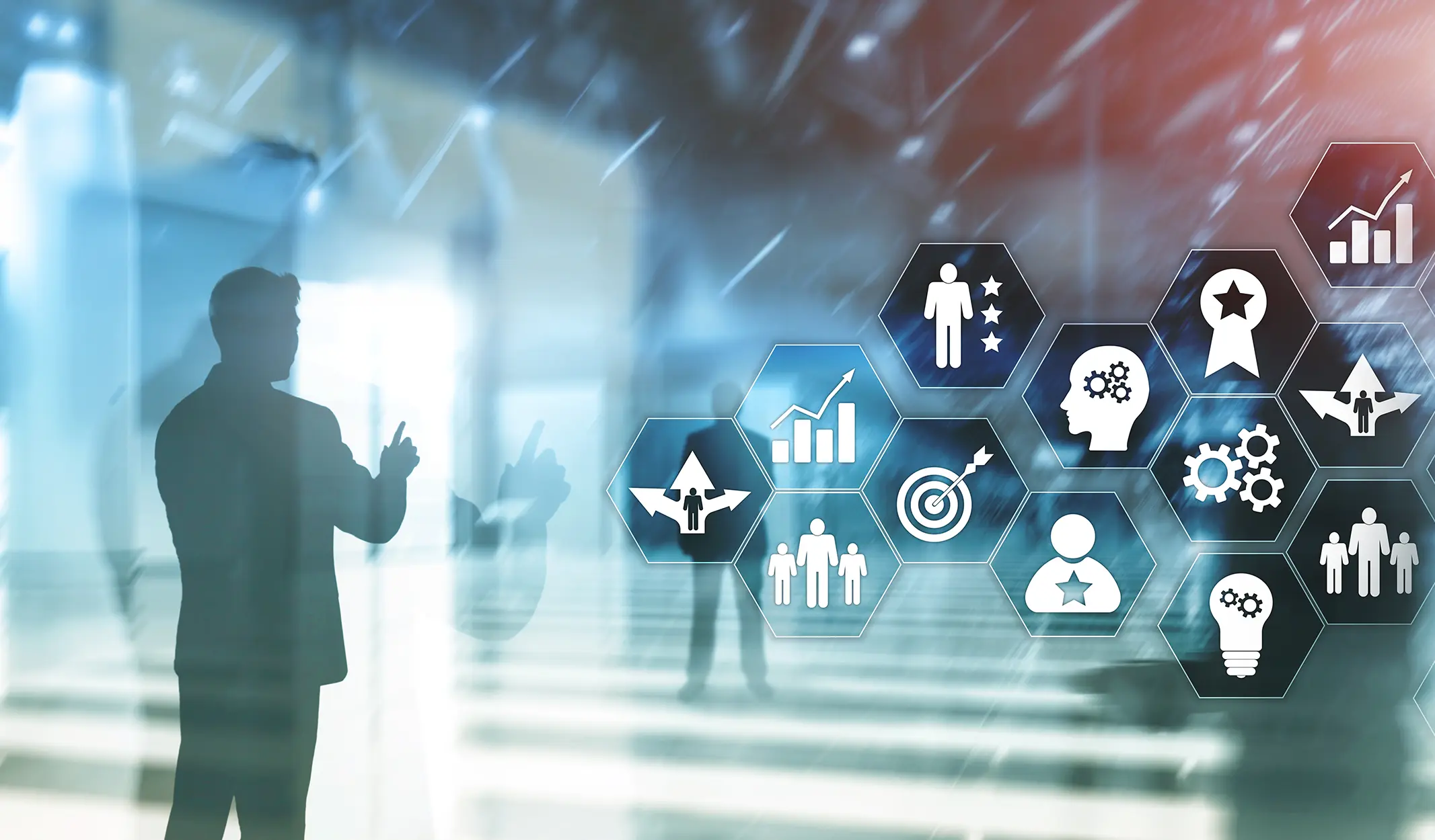 Career Discovery & Guidance